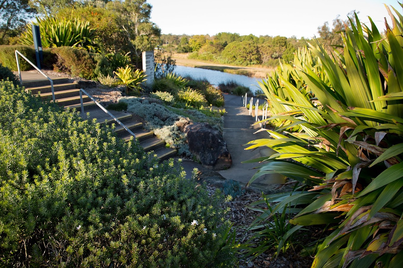 Stone steps and lush garden plantings leading down to a pond at Mount Penang Gardens