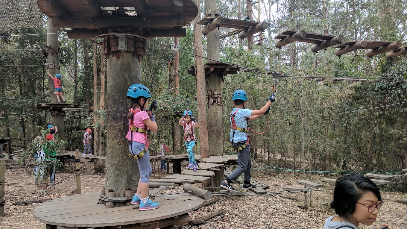 Treetops Adventure Central Coast aerial park
