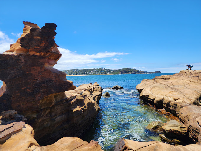 View over Avoca Beach and its headland from the bushland behind the town
