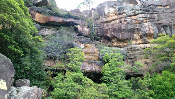 Layered sandstone overhangs and bushland along a trail in Brisbane Water National Park