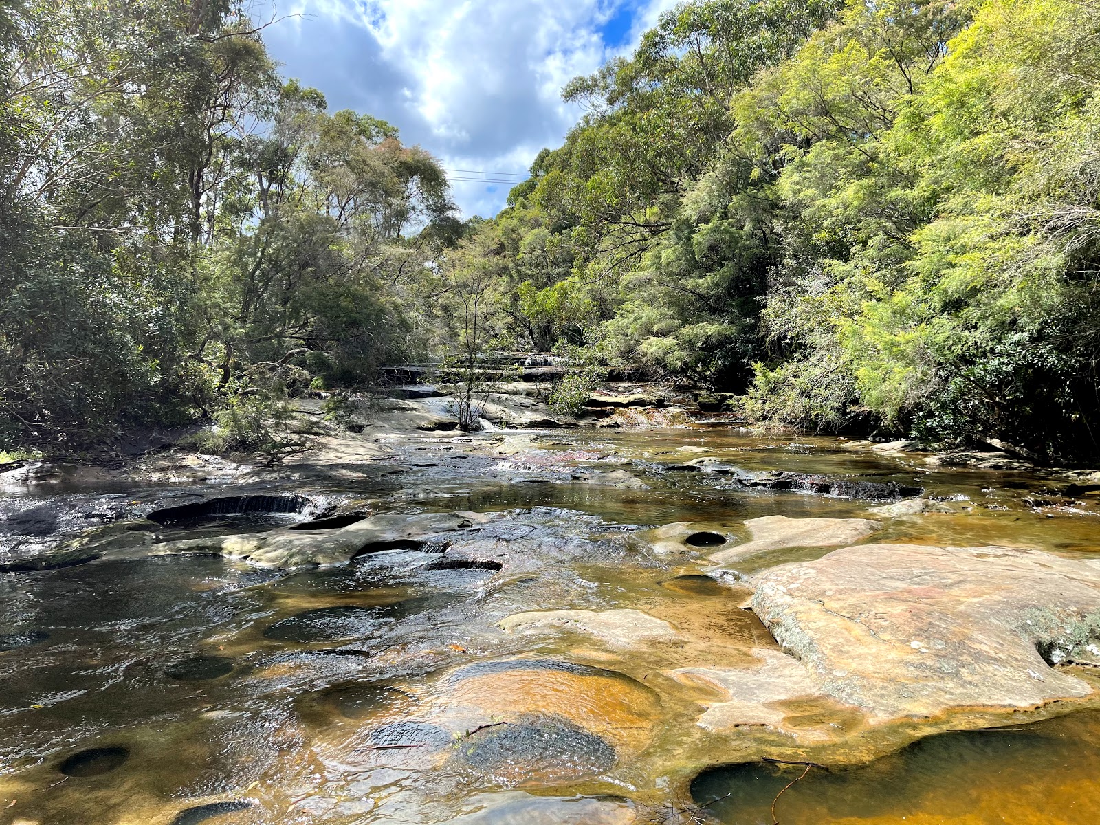 Shallow rock pools along a shaded stretch of Somersby Creek in the bushland